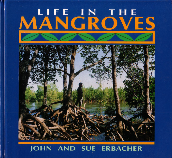 Life in the Mangroves